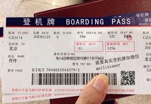 国内飞机票生成器