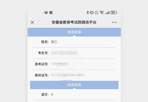 趣味高考成绩单生成器,自定义分数一键下载无水印